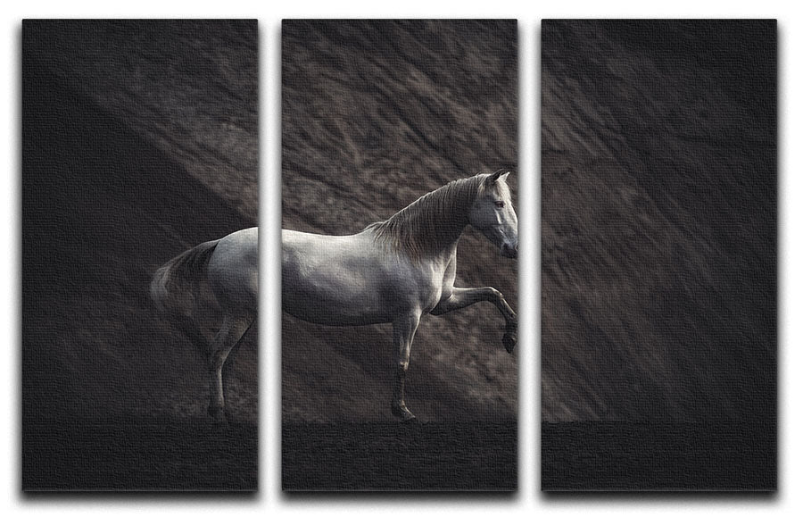 SOLITAIRE 3 Split Panel Canvas Print - 1x - 1