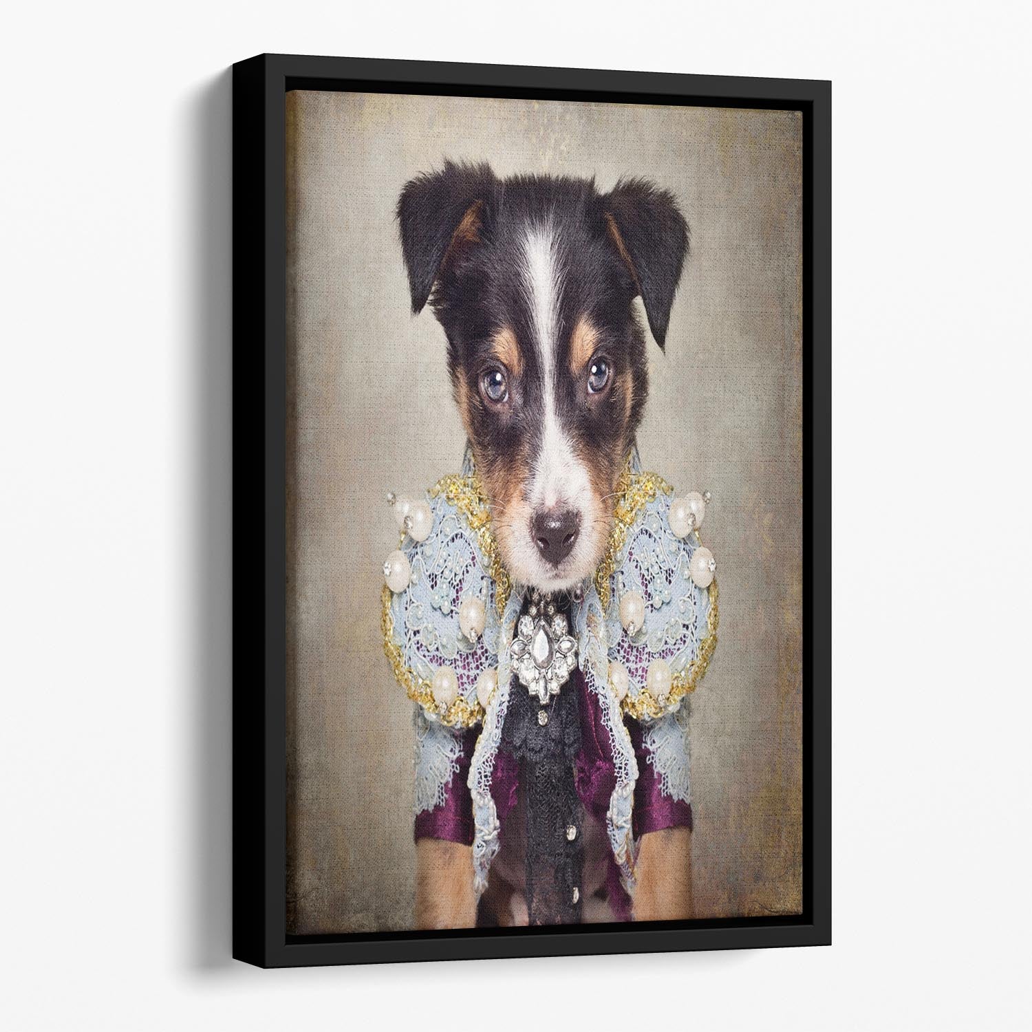 Shelter Pets Project Loki Floating Framed Canvas - 1x - 1