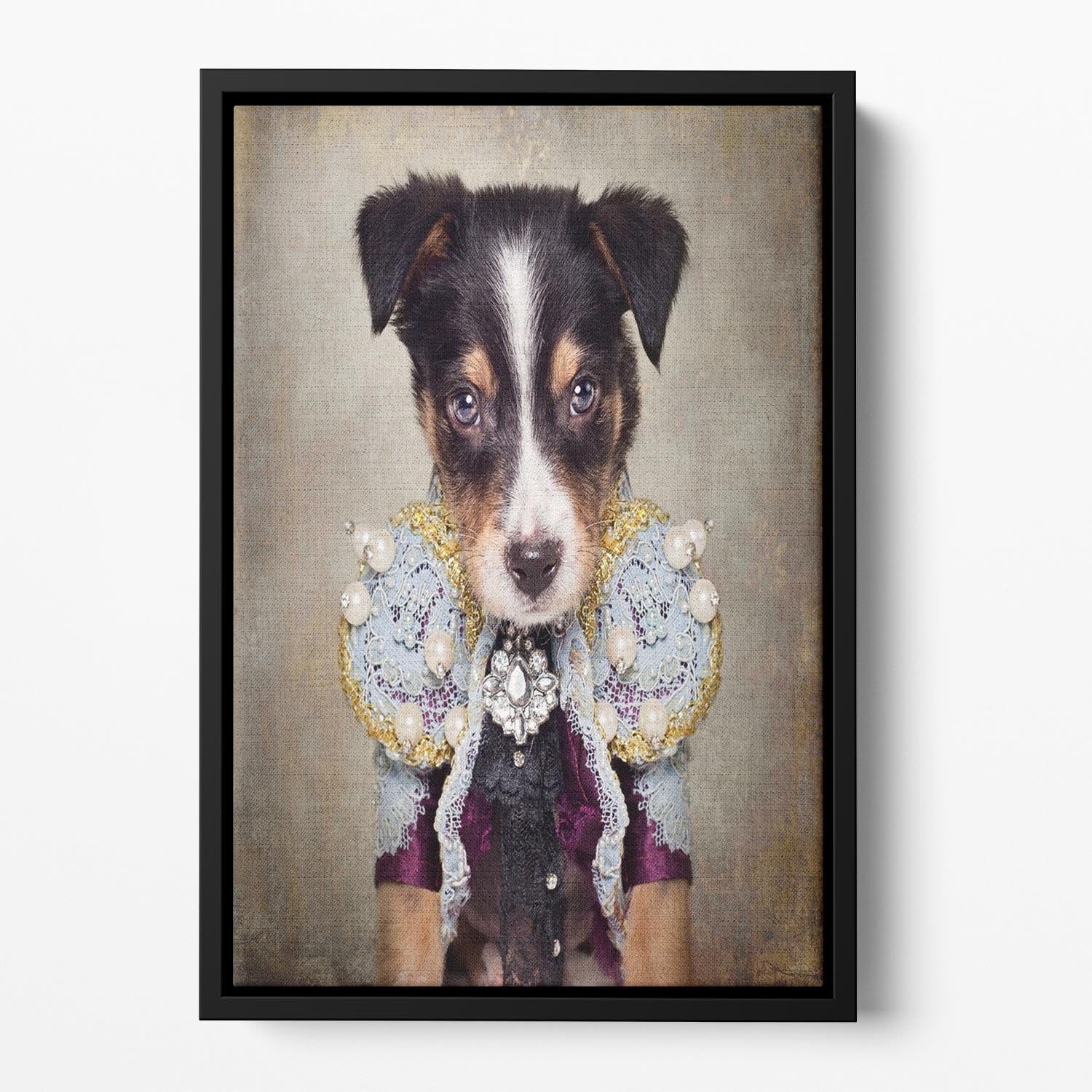 Shelter Pets Project Loki Floating Framed Canvas - 1x - 2