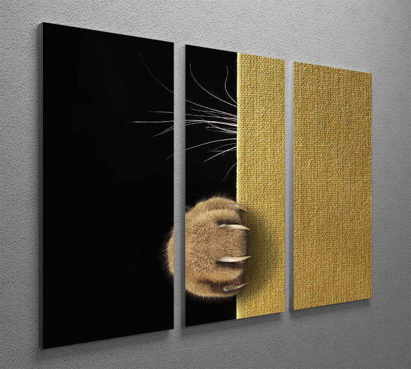 Shy cat 3 Split Panel Canvas Print - 1x - 2