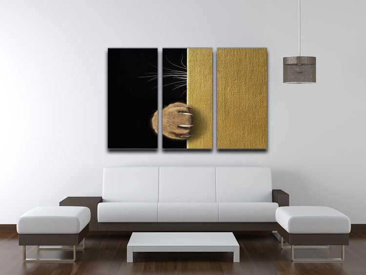 Shy cat 3 Split Panel Canvas Print - 1x - 3