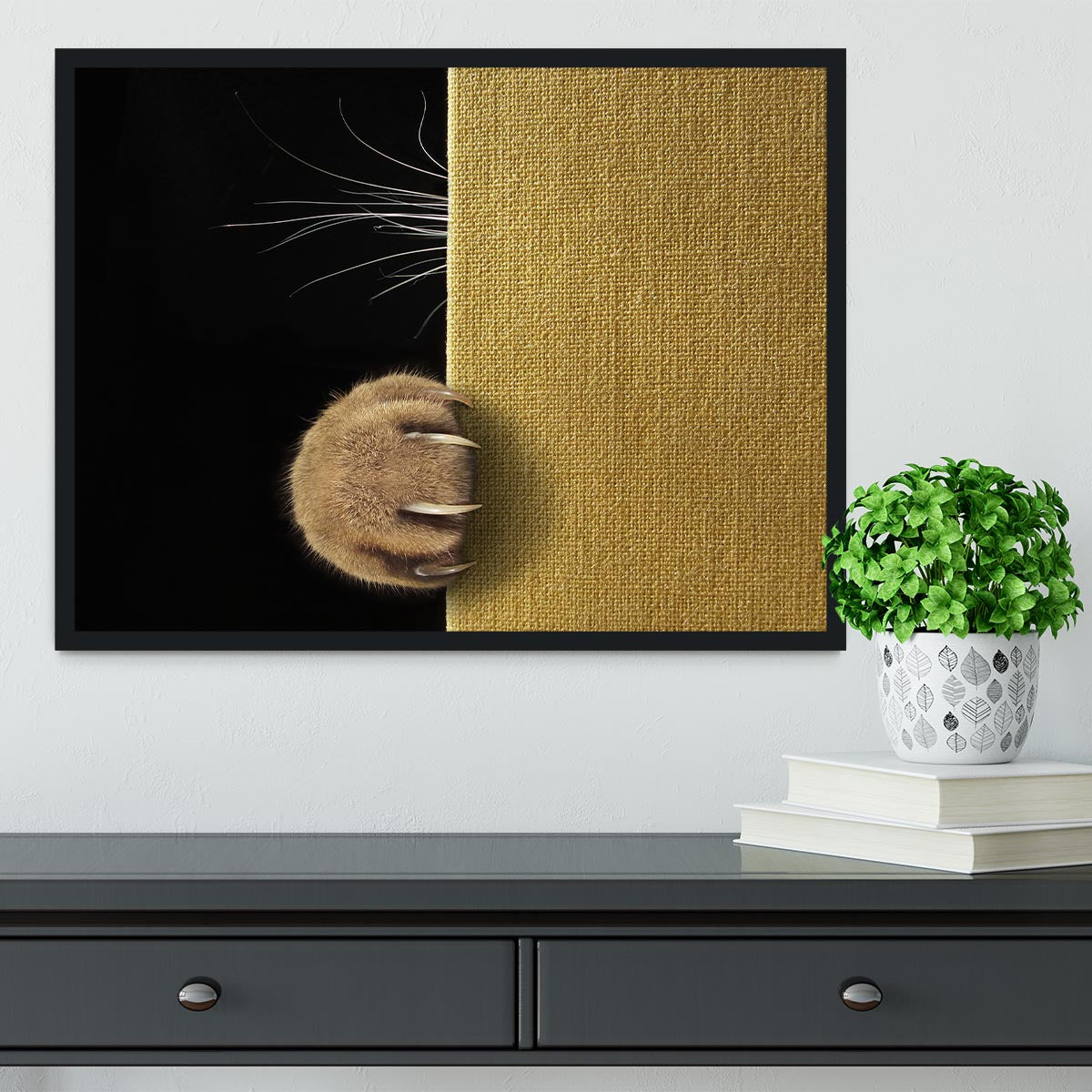 Shy cat Framed Print - 1x - 2