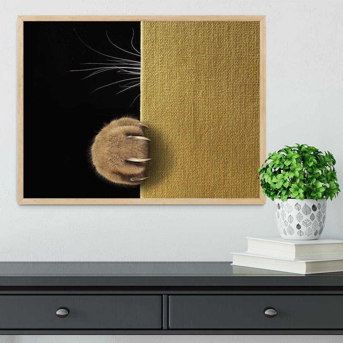 Shy cat Framed Print - 1x - 4