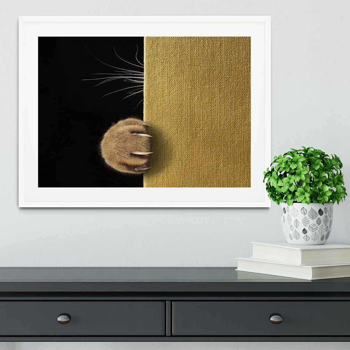 Shy cat Framed Print - 1x - 5