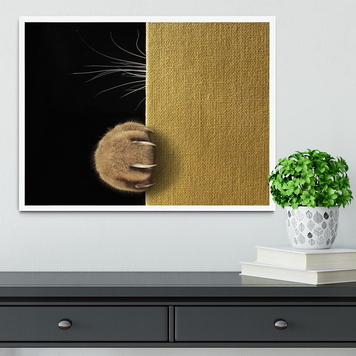 Shy cat Framed Print - 1x -6