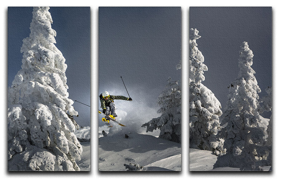 Ski is life 3 Split Panel Canvas Print - 1x - 1