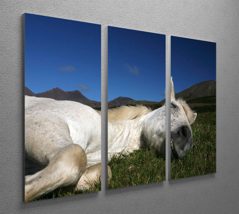 Sleeping Beauty 3 Split Panel Canvas Print - 1x - 2