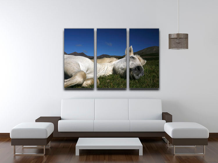 Sleeping Beauty 3 Split Panel Canvas Print - 1x - 3