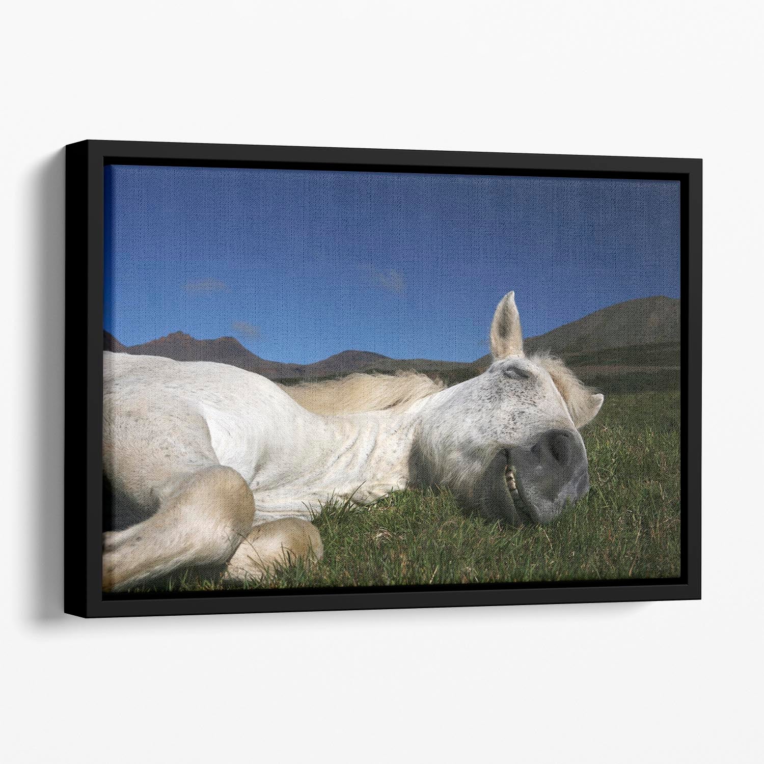 Sleeping Beauty Floating Framed Canvas - 1x - 1