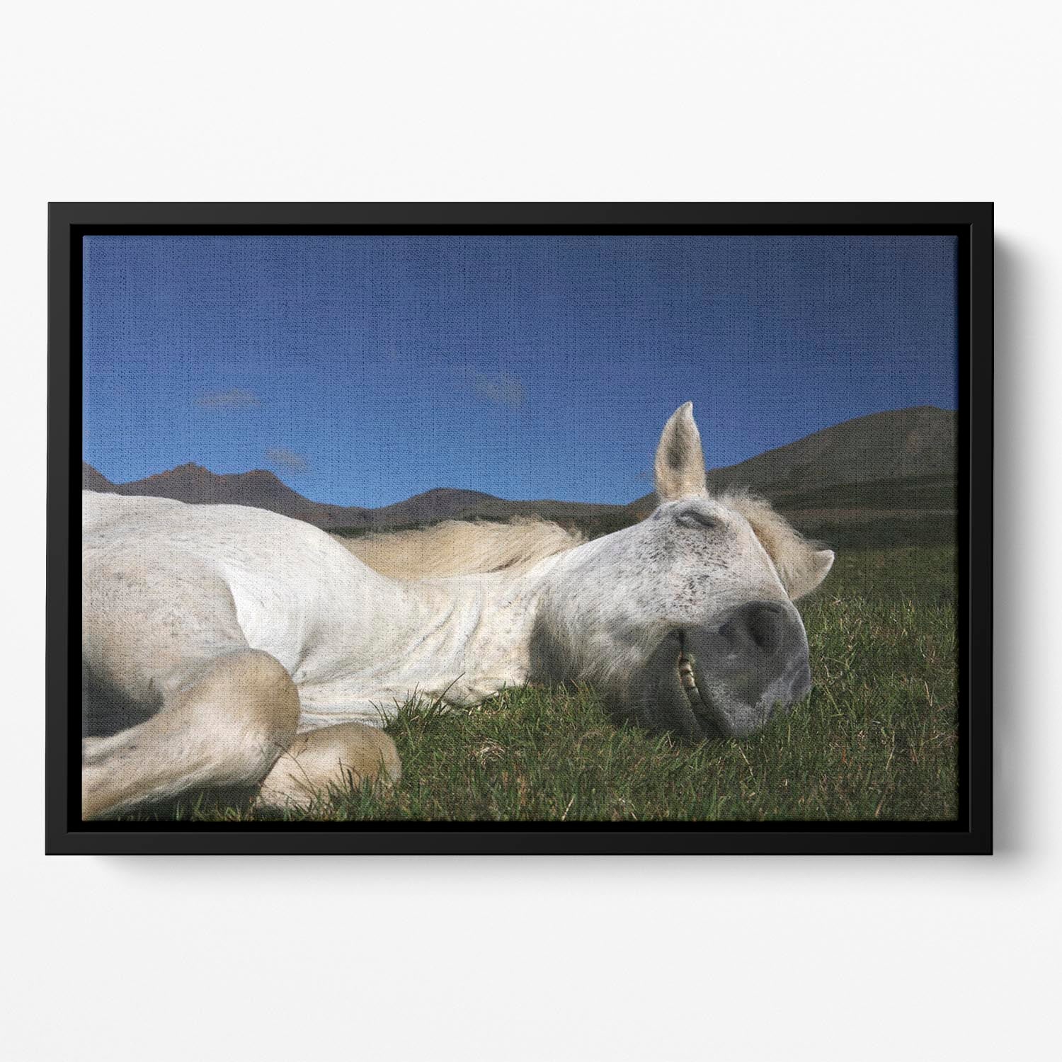 Sleeping Beauty Floating Framed Canvas - 1x - 2