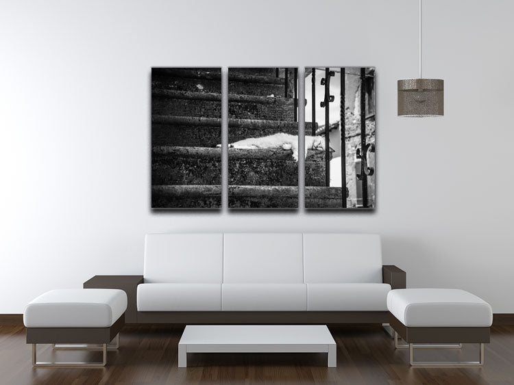 Slow life 3 Split Panel Canvas Print - 1x - 3