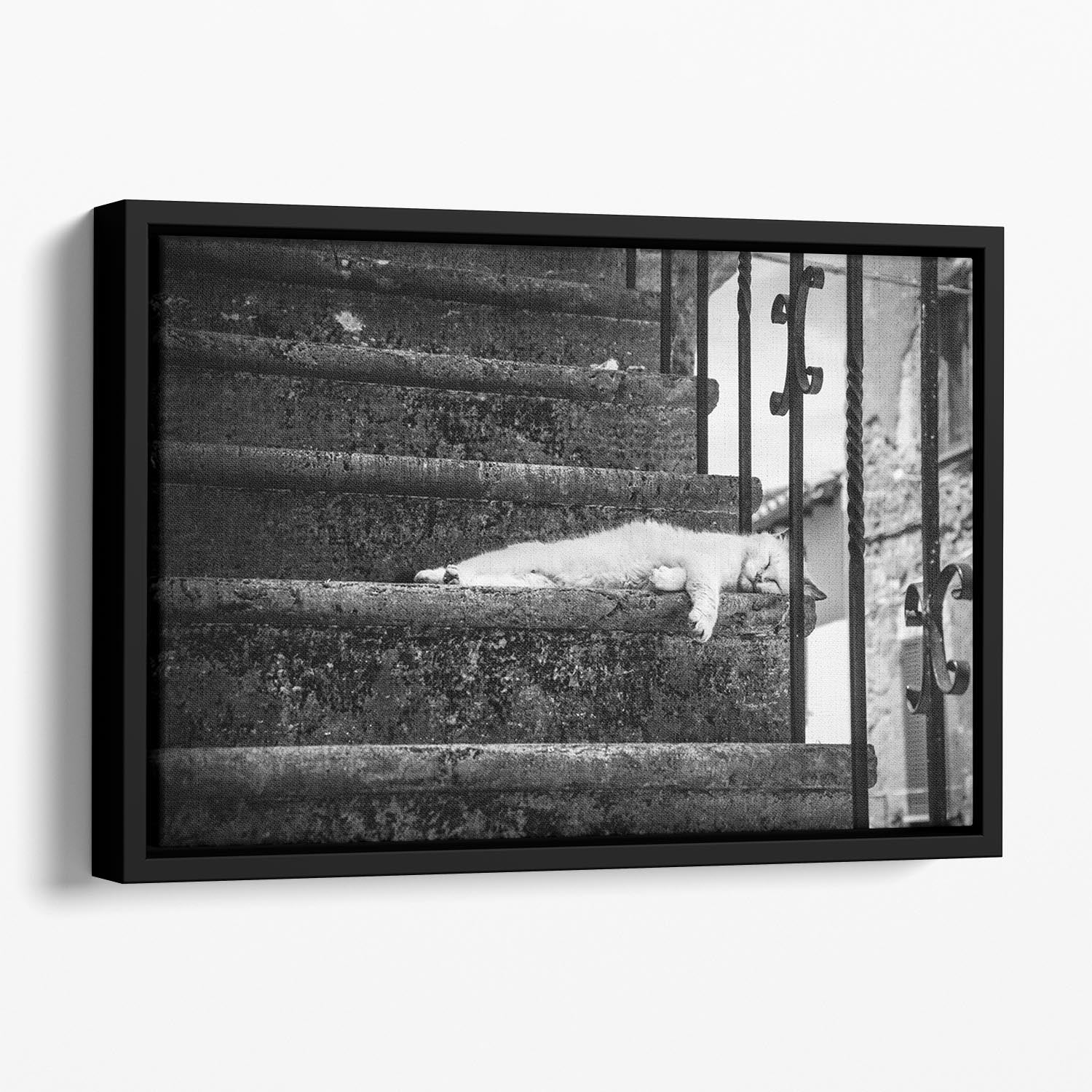 Slow life Floating Framed Canvas - 1x - 1