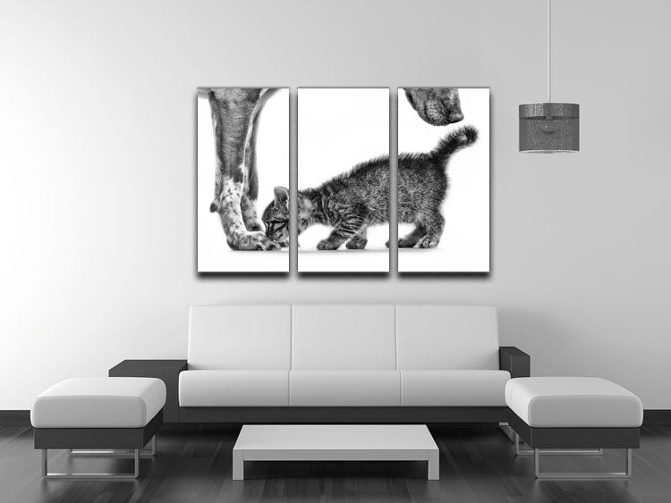 Smell me 3 Split Panel Canvas Print - 1x - 3