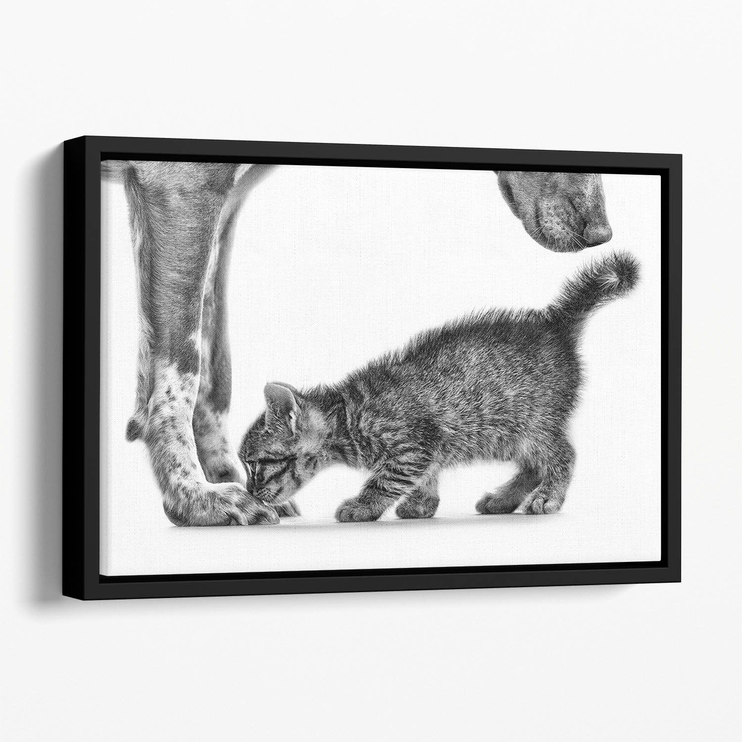 Smell me Floating Framed Canvas - 1x - 1