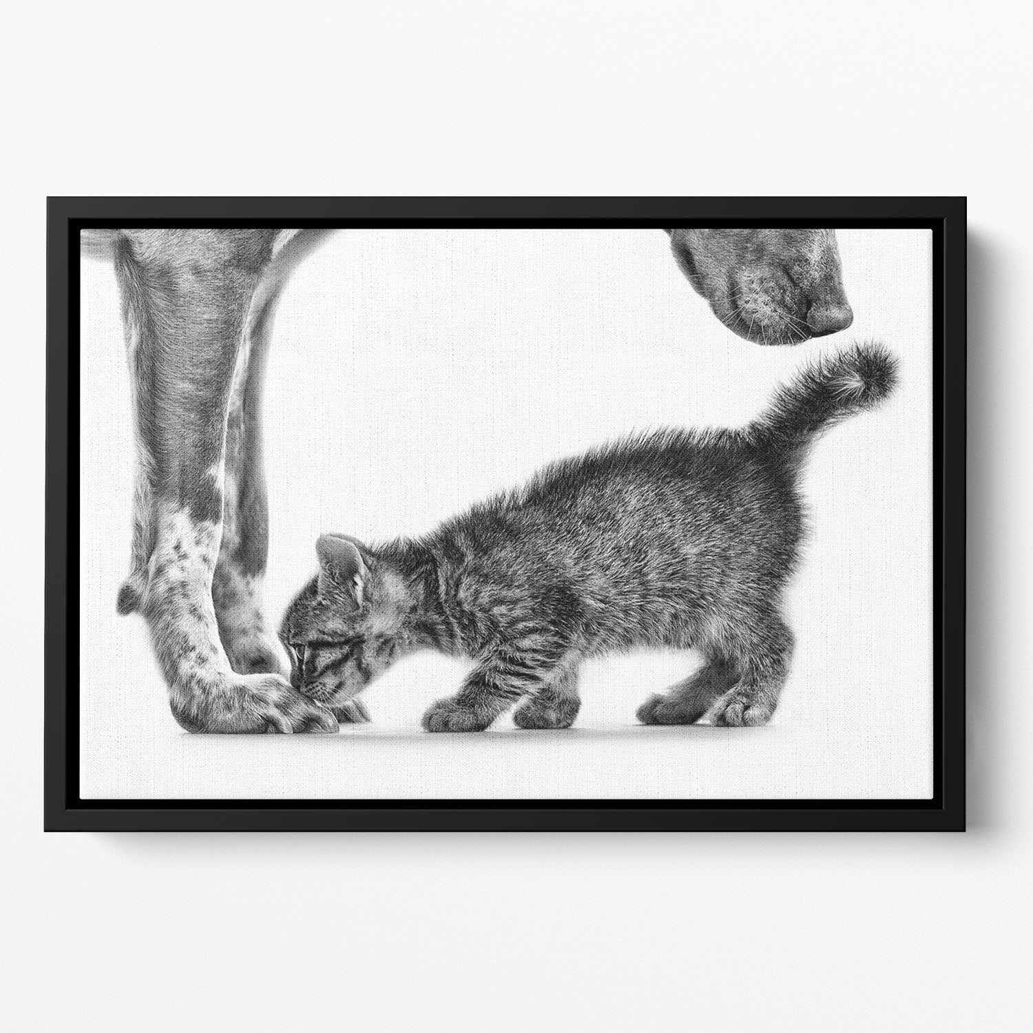 Smell me Floating Framed Canvas - 1x - 2