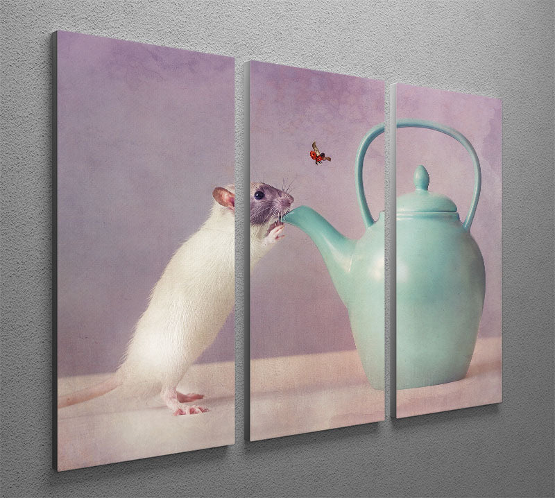 Snoozy 3 Split Panel Canvas Print - 1x - 2