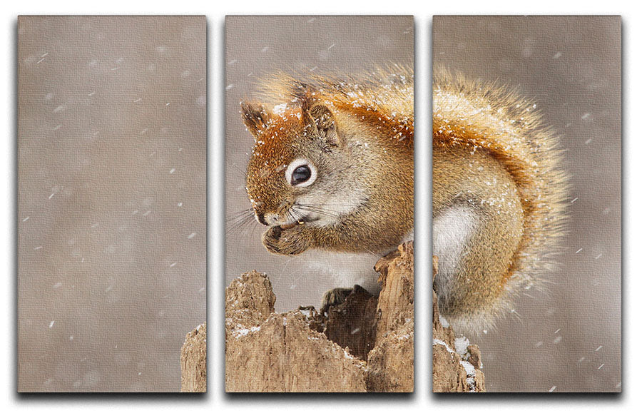 Snow Storm 3 Split Panel Canvas Print - 1x - 1