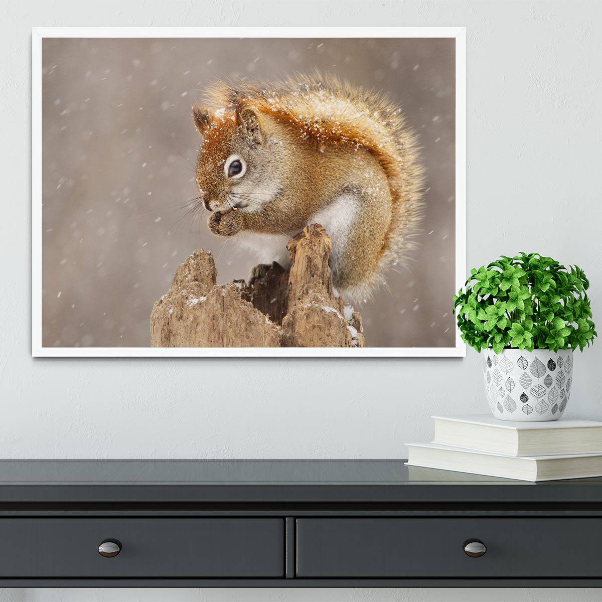 Snow Storm Framed Print - 1x -6