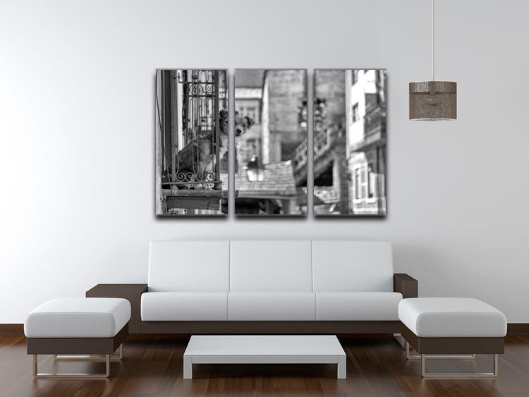 Street Dog 3 Split Panel Canvas Print - 1x - 3