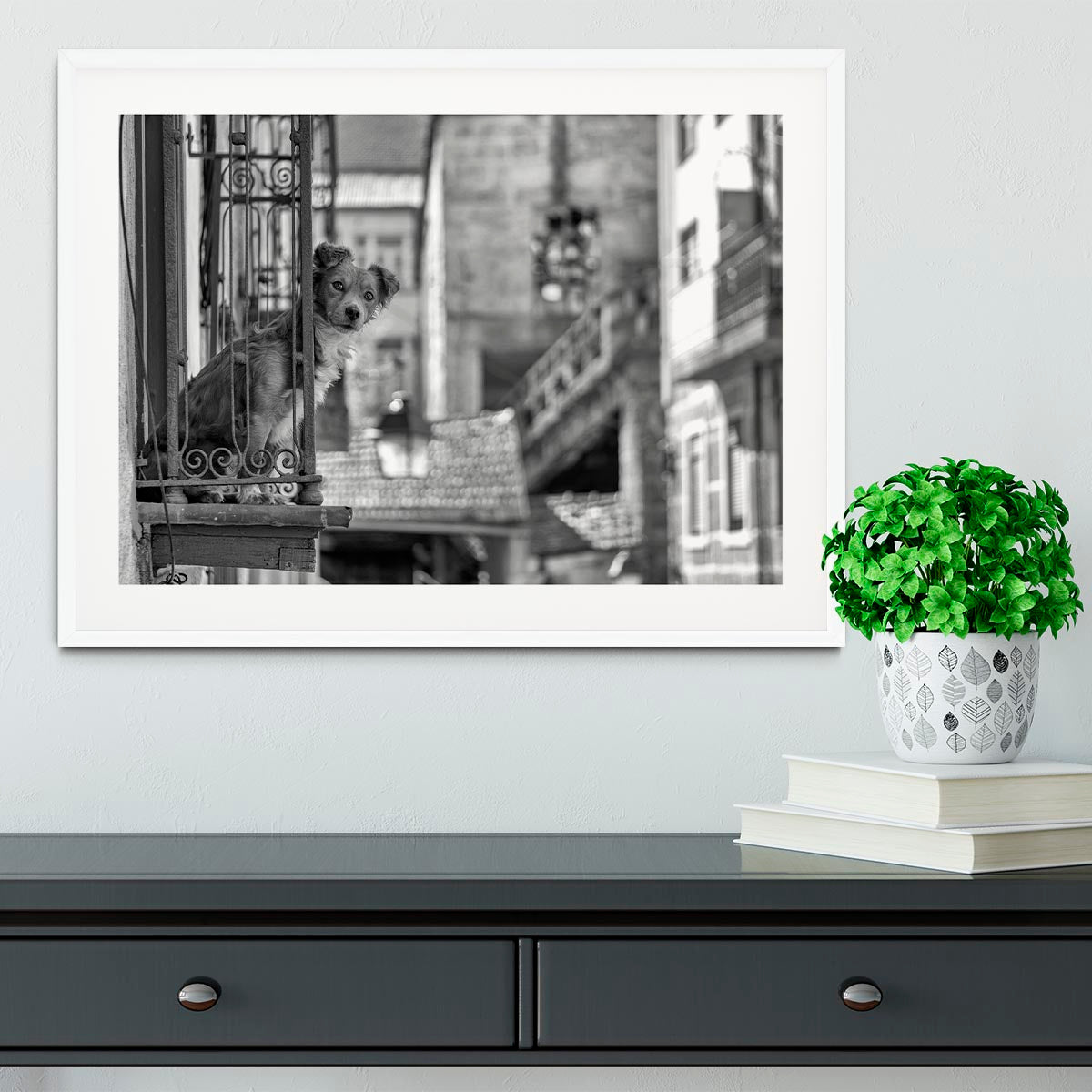 Street Dog Framed Print - 1x - 5