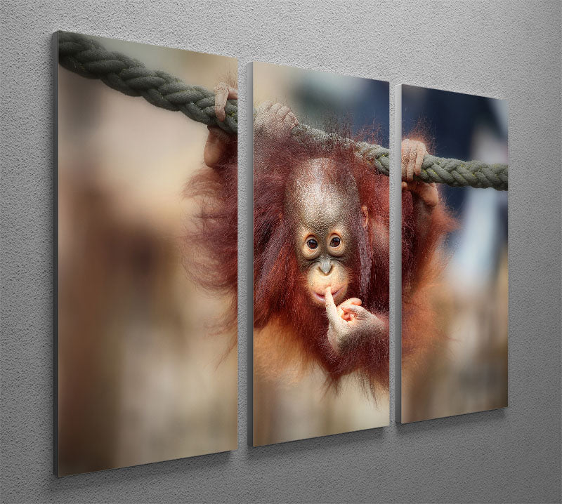 THE BIG QUERY 3 Split Panel Canvas Print - 1x - 2