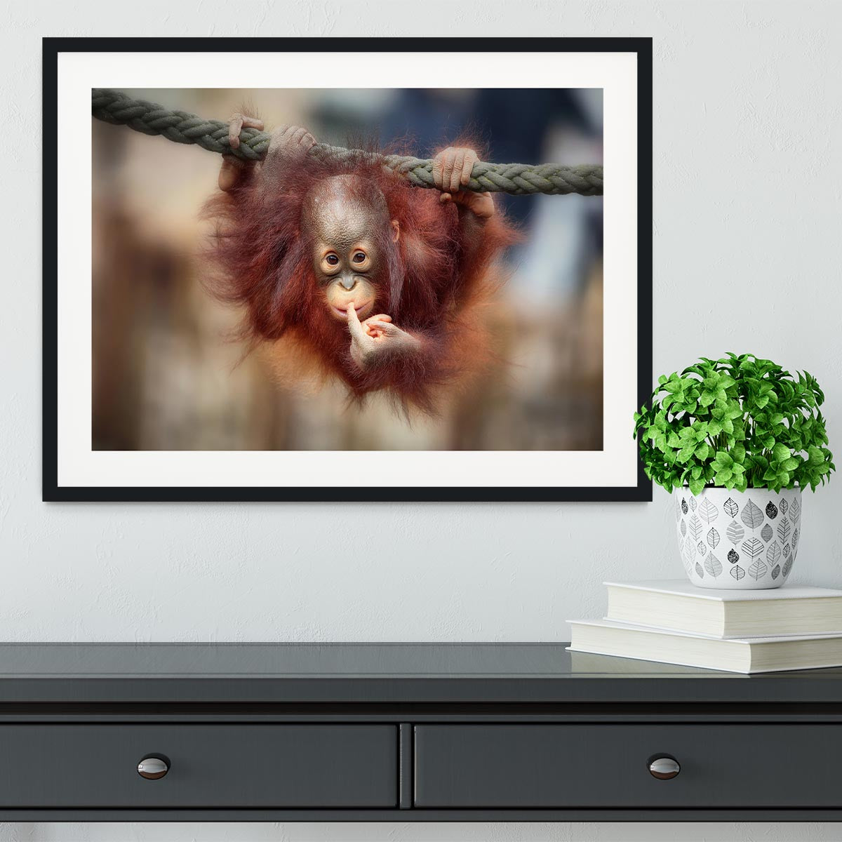 THE BIG QUERY Framed Print - 1x - 1