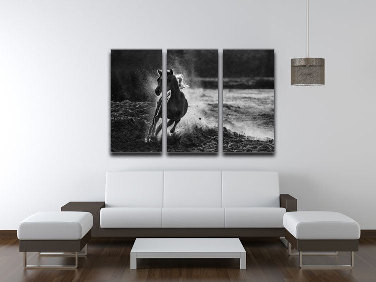 Take off 3 Split Panel Canvas Print - 1x - 3