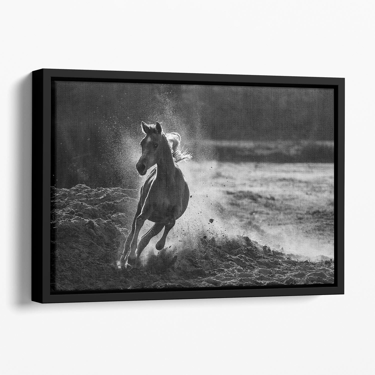 Take off Floating Framed Canvas - 1x - 1