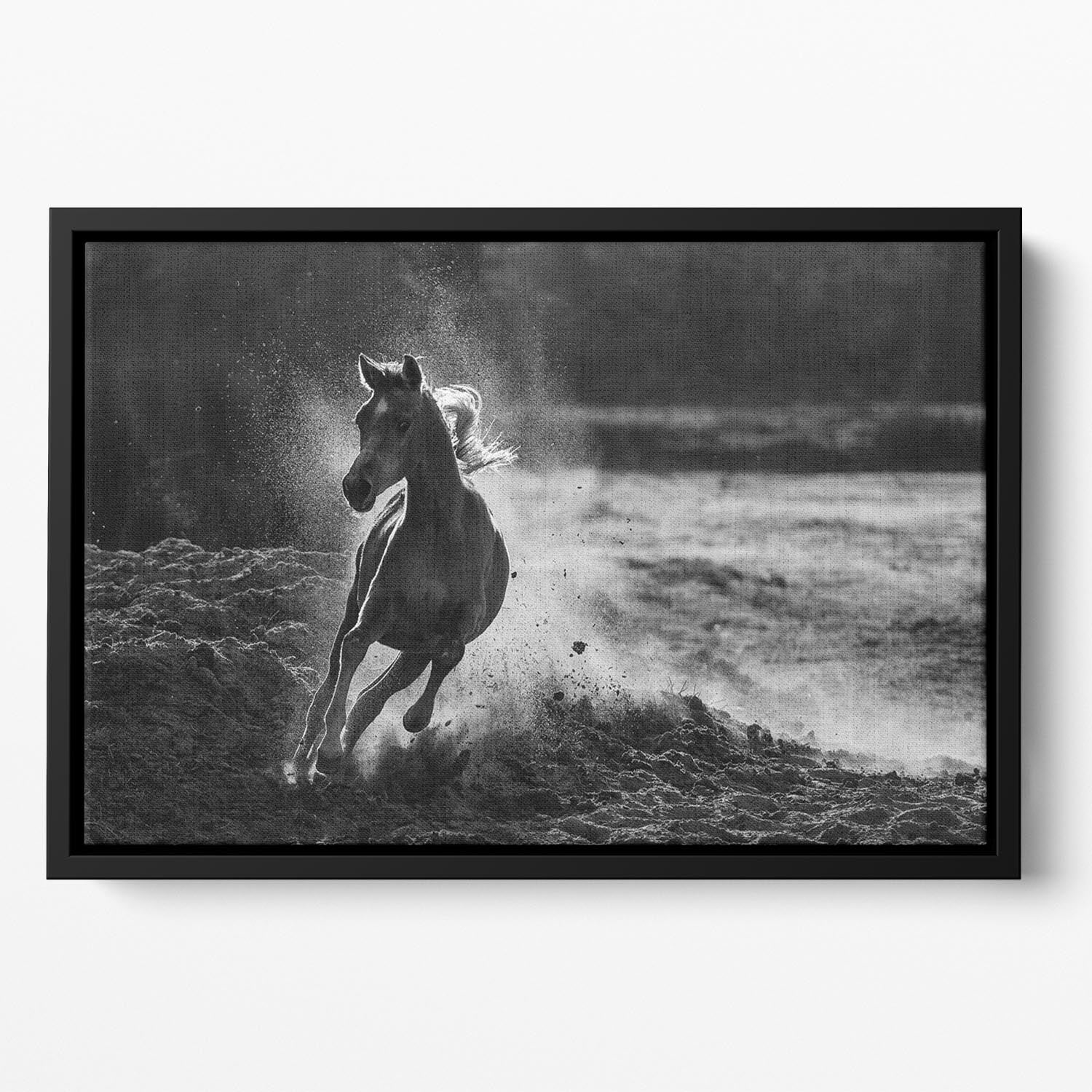 Take off Floating Framed Canvas - 1x - 2