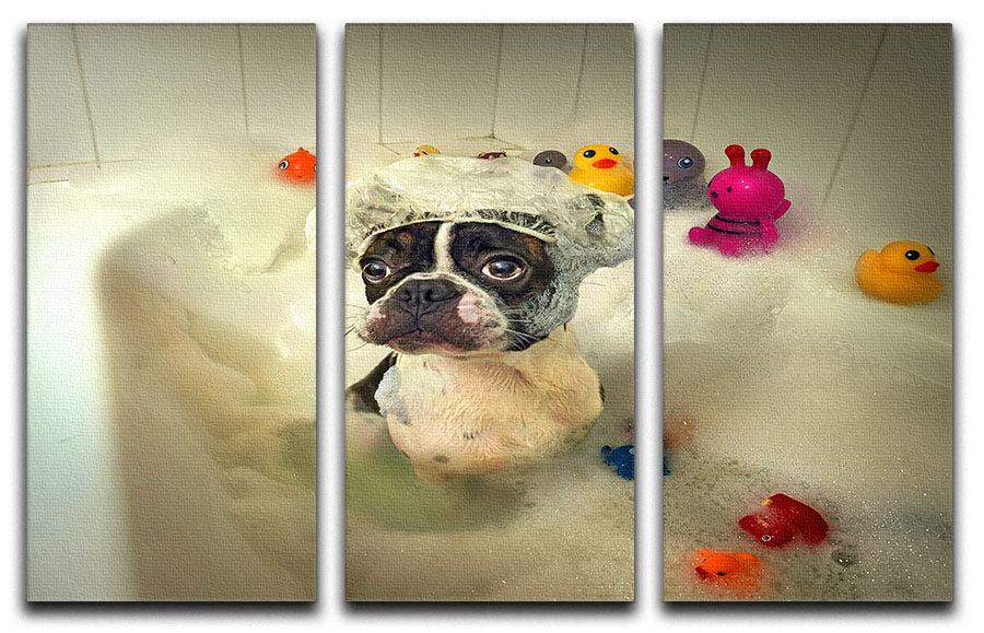 The Bath 3 Split Panel Canvas Print - 1x - 1