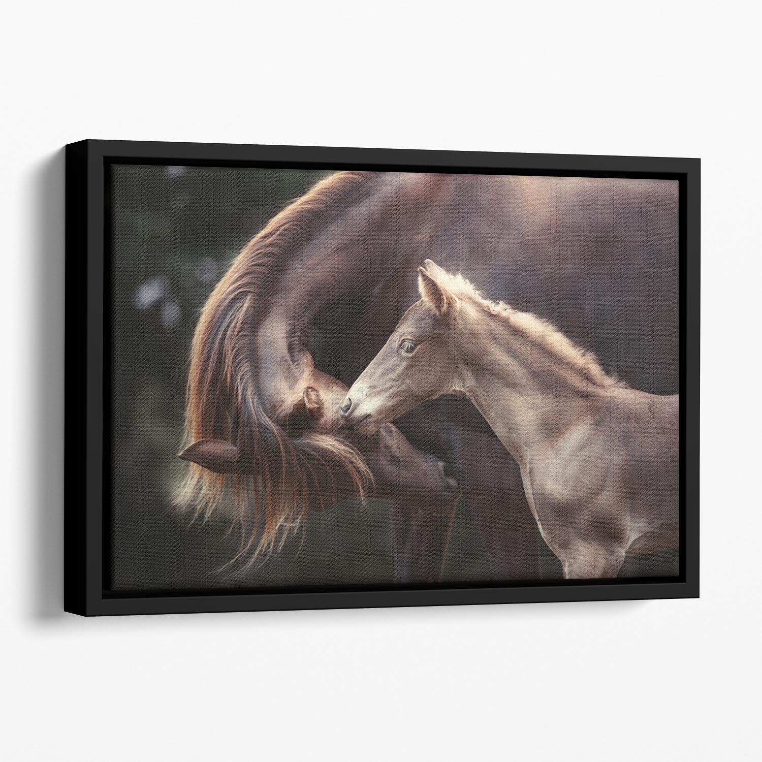 The Bond Floating Framed Canvas - 1x - 1