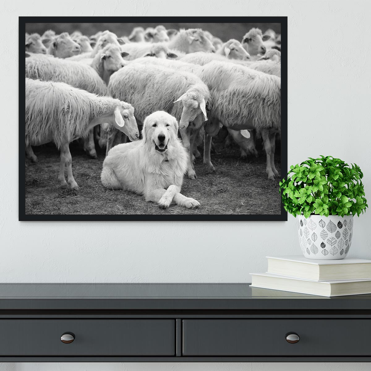 The Boss Framed Print - 1x - 2