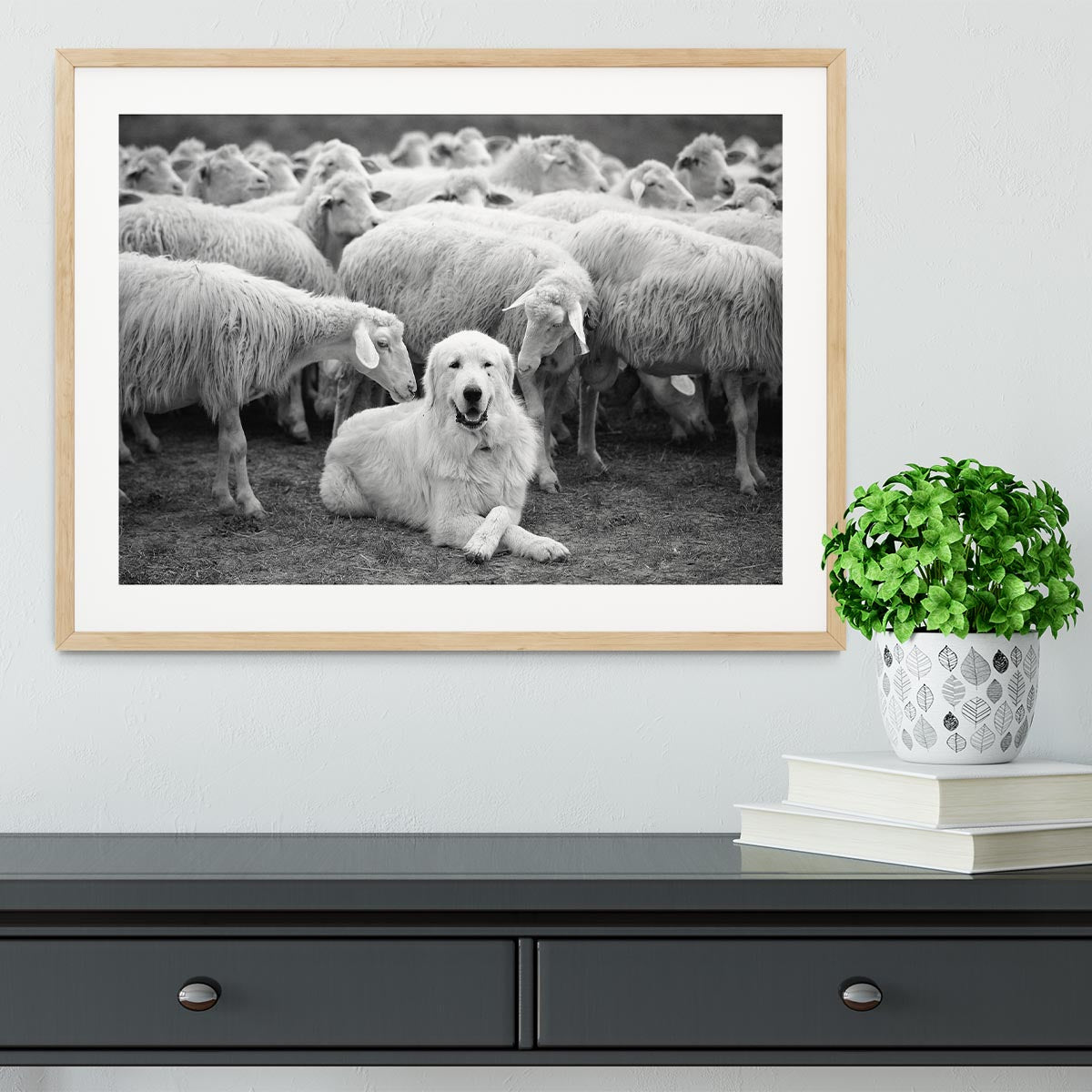 The Boss Framed Print - 1x - 3