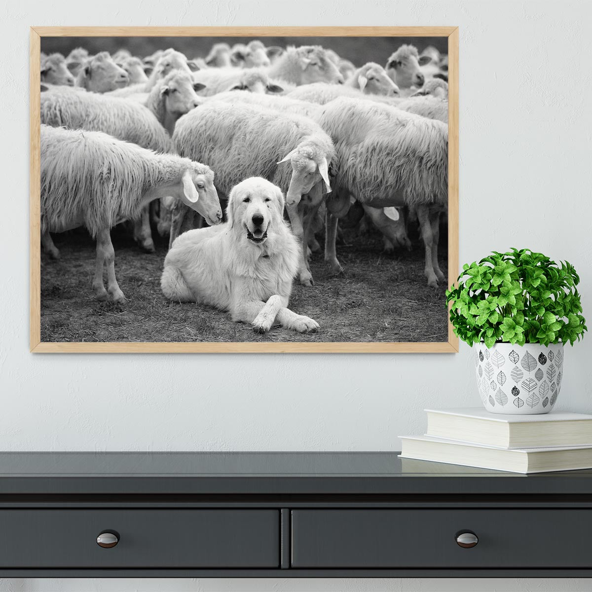 The Boss Framed Print - 1x - 4