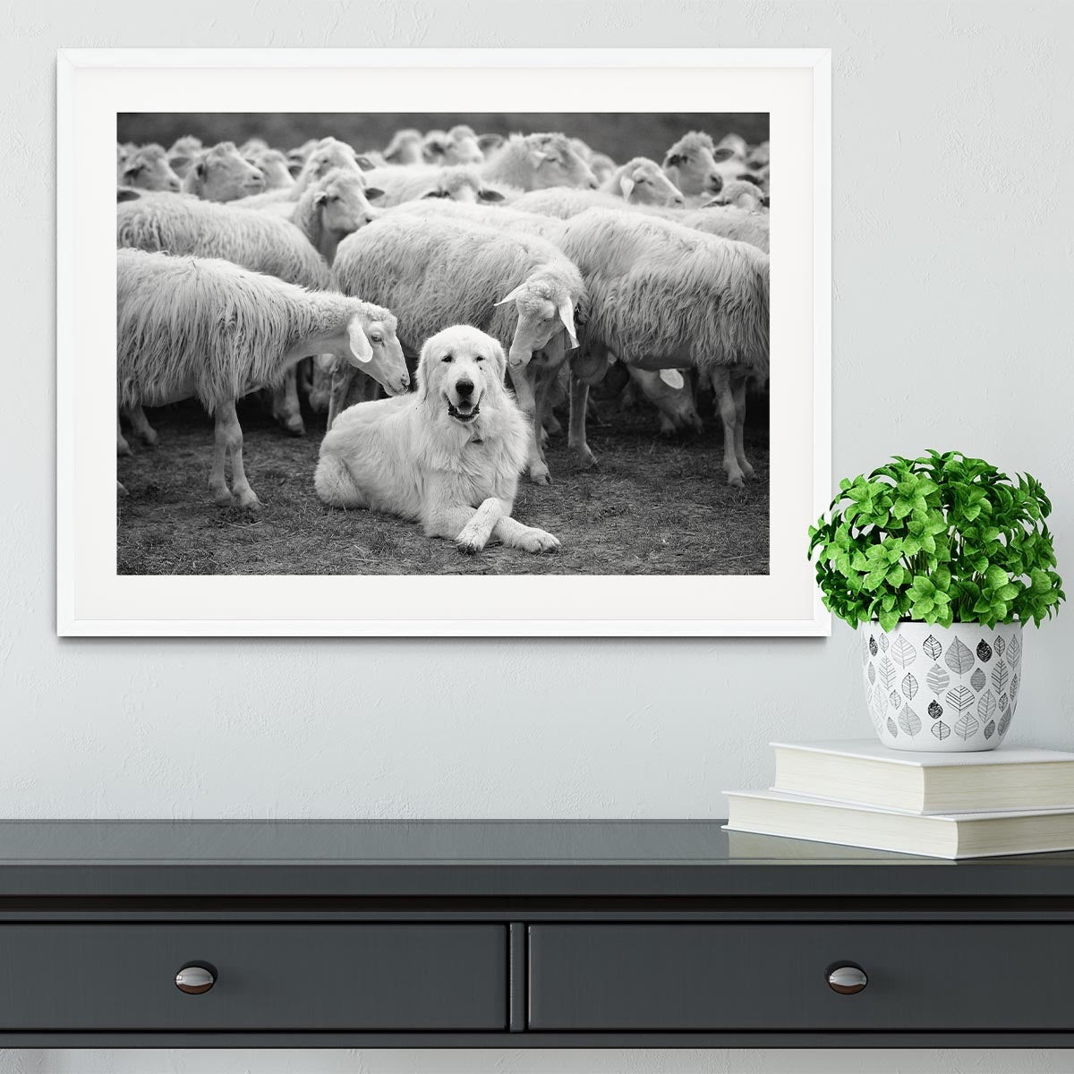 The Boss Framed Print - 1x - 5