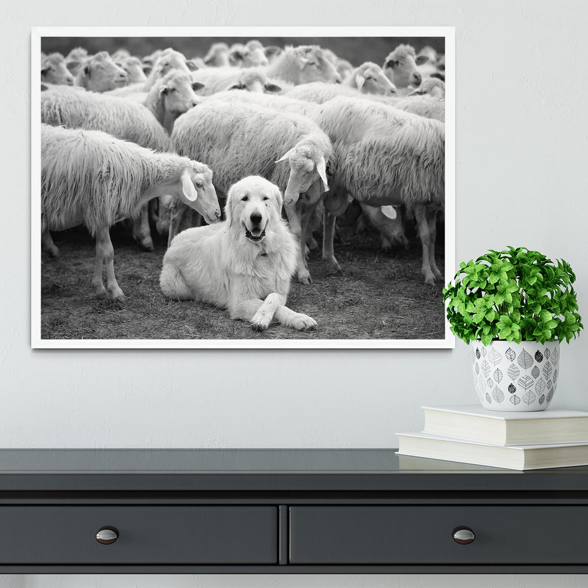 The Boss Framed Print - 1x -6