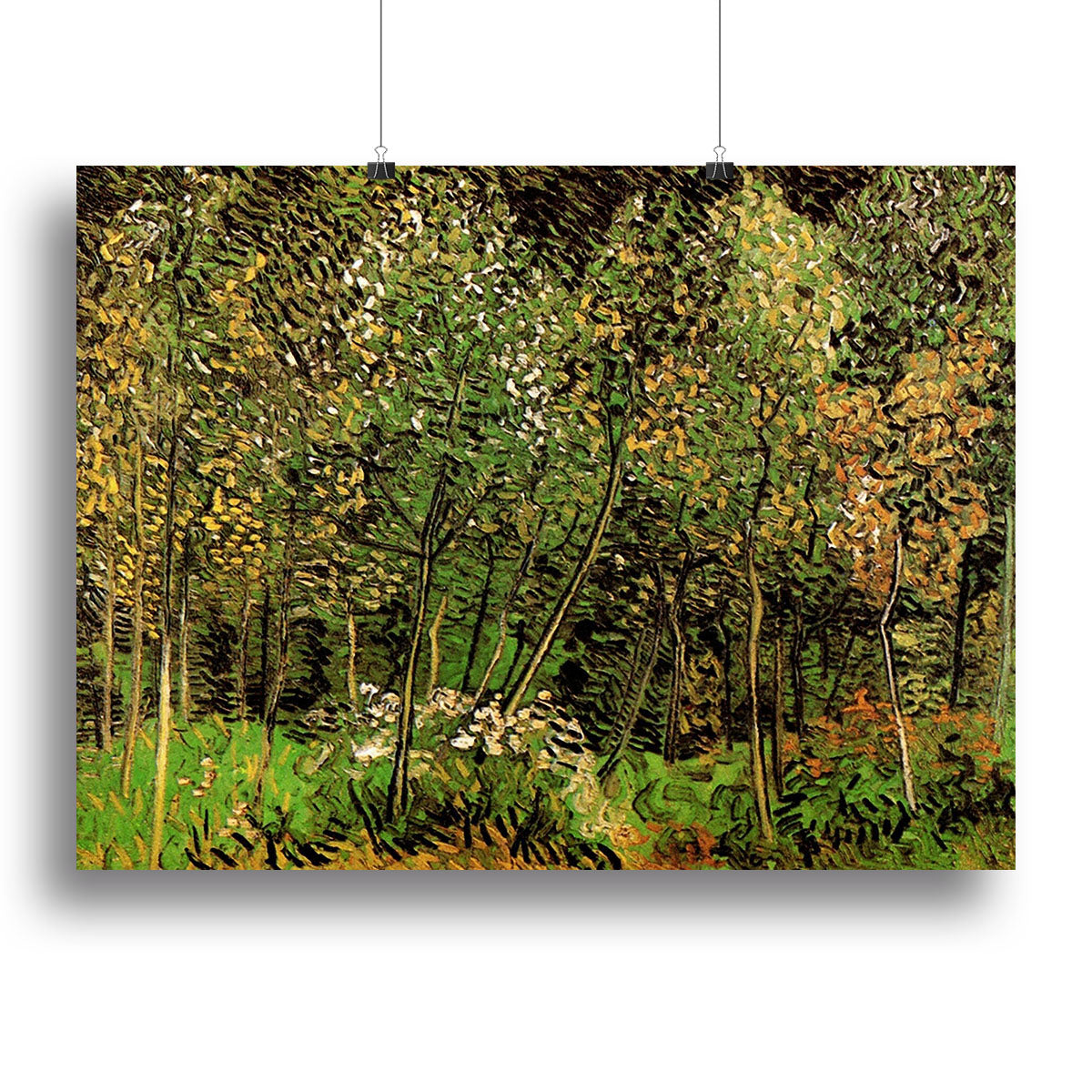 The Grove by Van Gogh Poster - Unframed