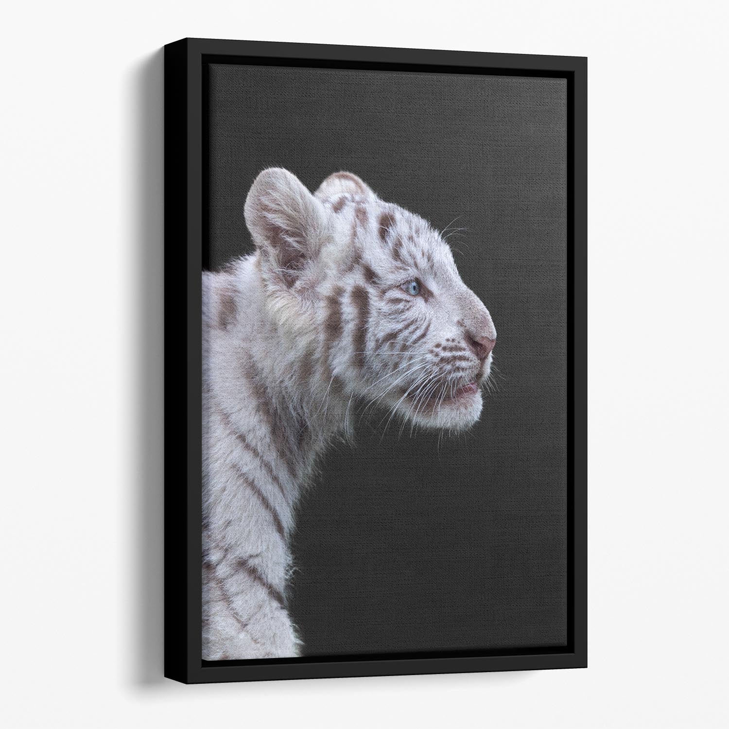 The Hunter Floating Framed Canvas - 1x - 1