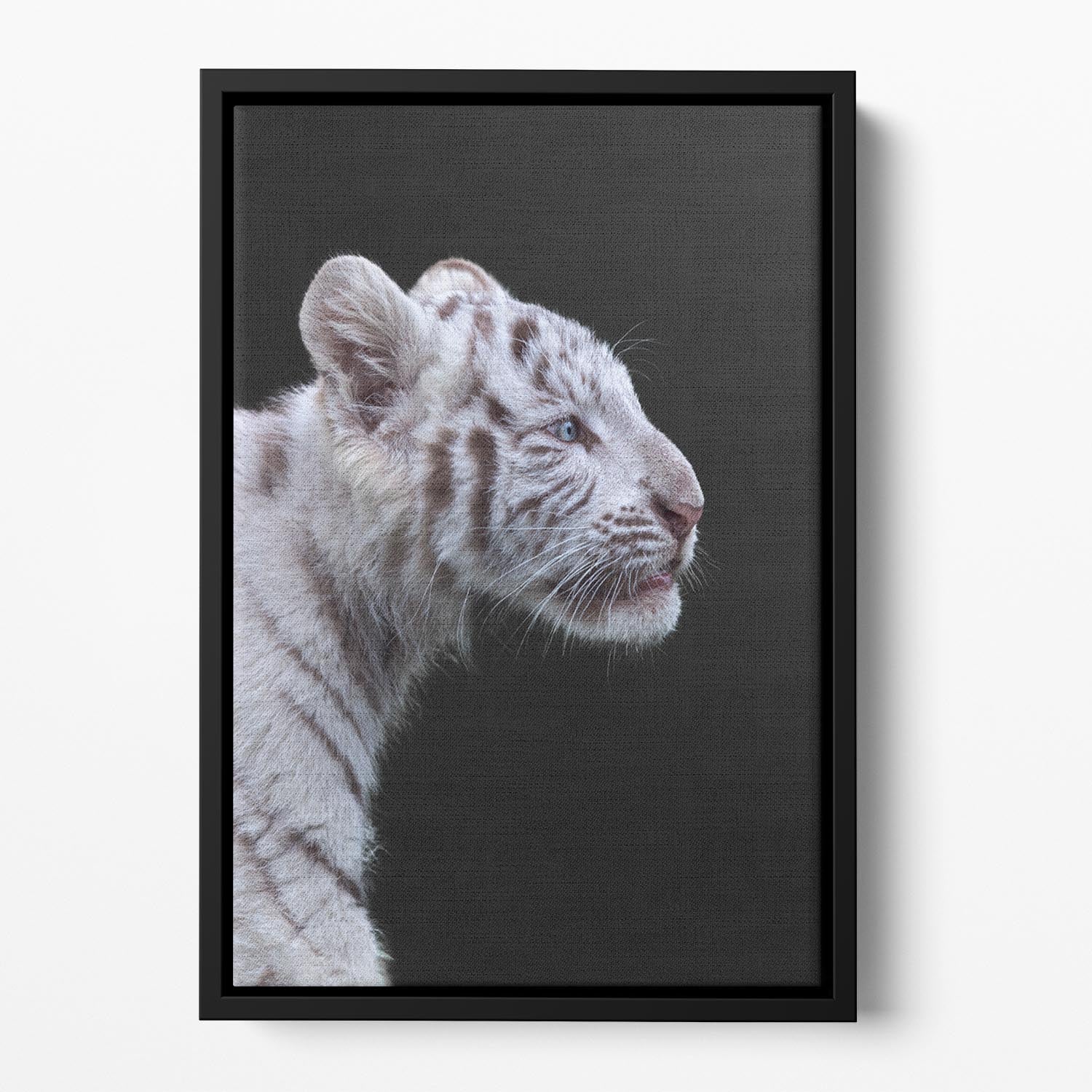 The Hunter Floating Framed Canvas - 1x - 2