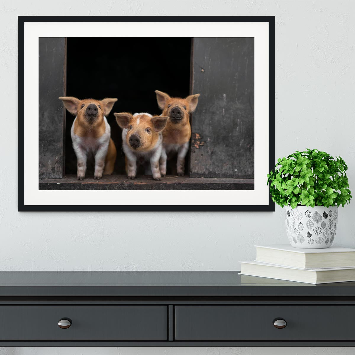 Three Piggies Framed Print - 1x - 1