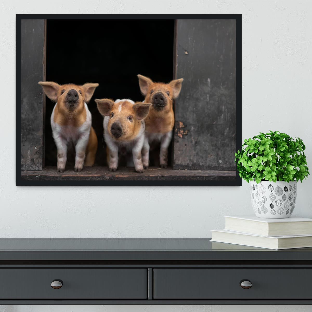 Three Piggies Framed Print - 1x - 2