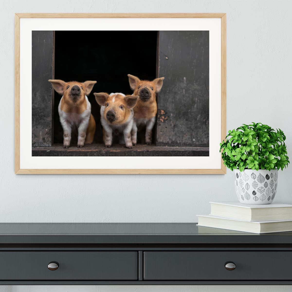 Three Piggies Framed Print - 1x - 3