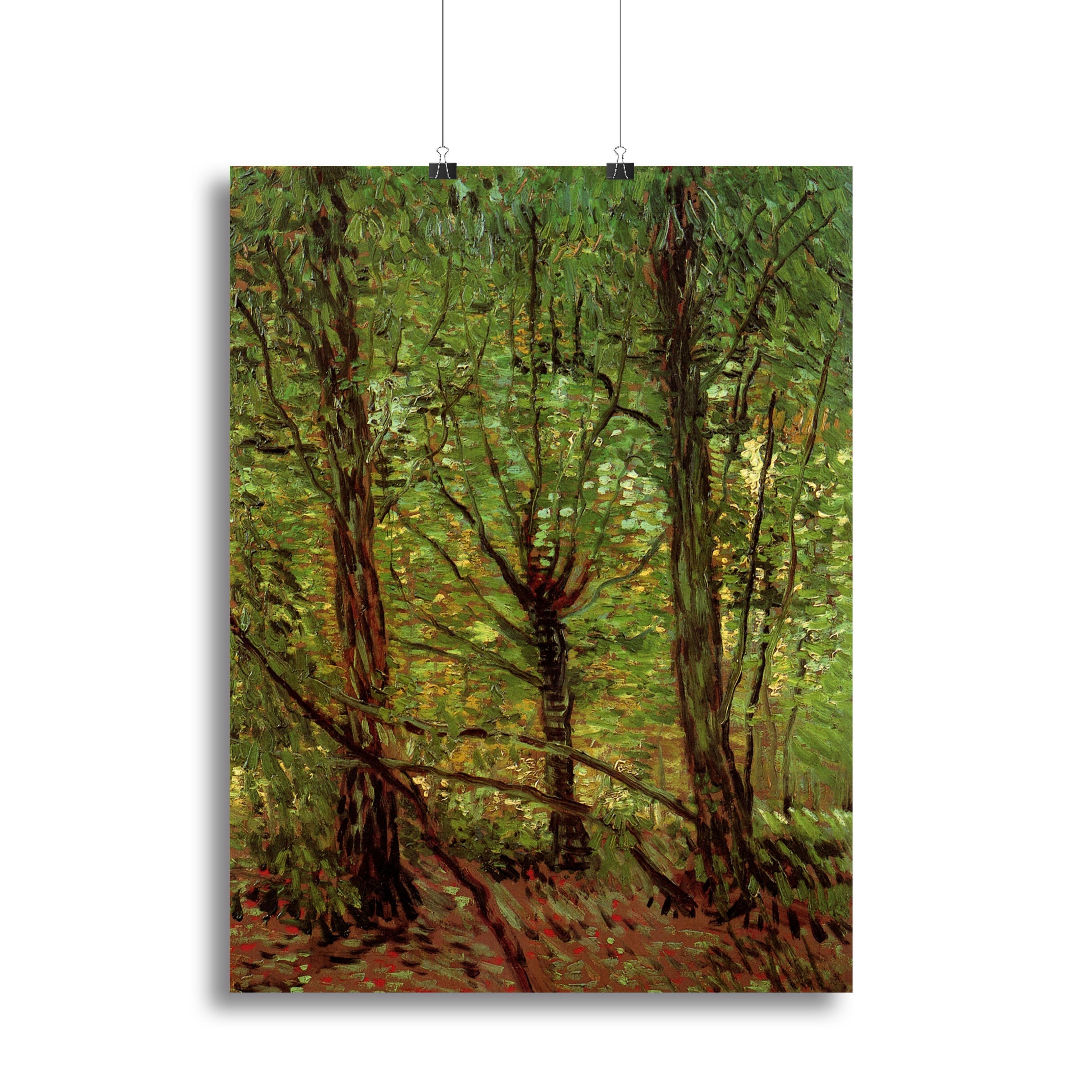 Trees and Undergrowth by Van Gogh Poster - Unframed