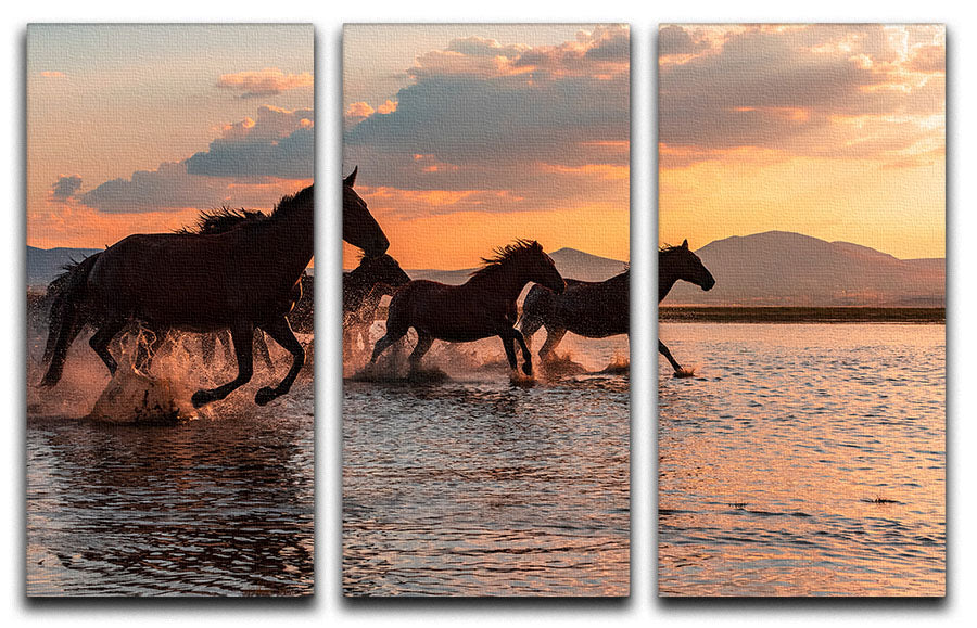 WATER HORSES 3 Split Panel Canvas Print - 1x - 1