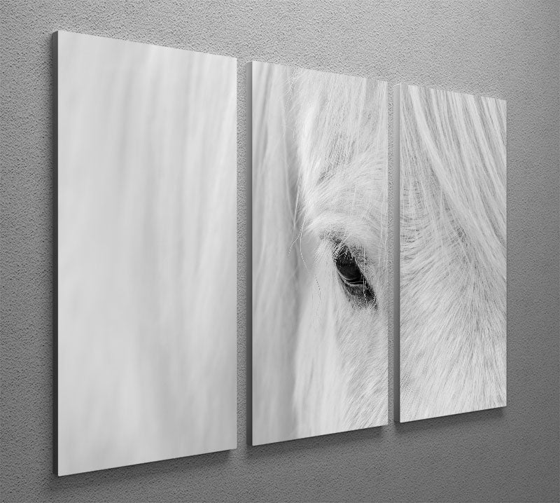 Whisper of Iceland 3 Split Panel Canvas Print - 1x - 2