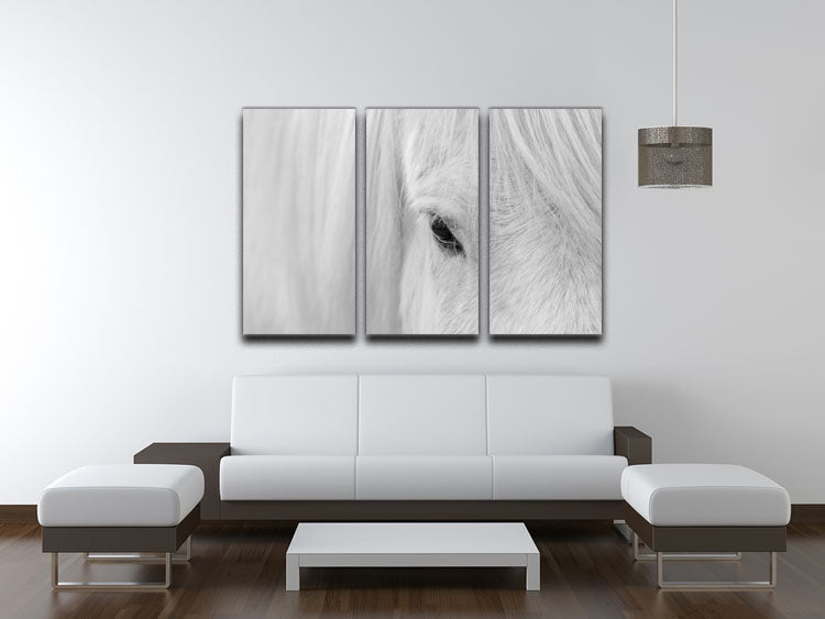 Whisper of Iceland 3 Split Panel Canvas Print - 1x - 3