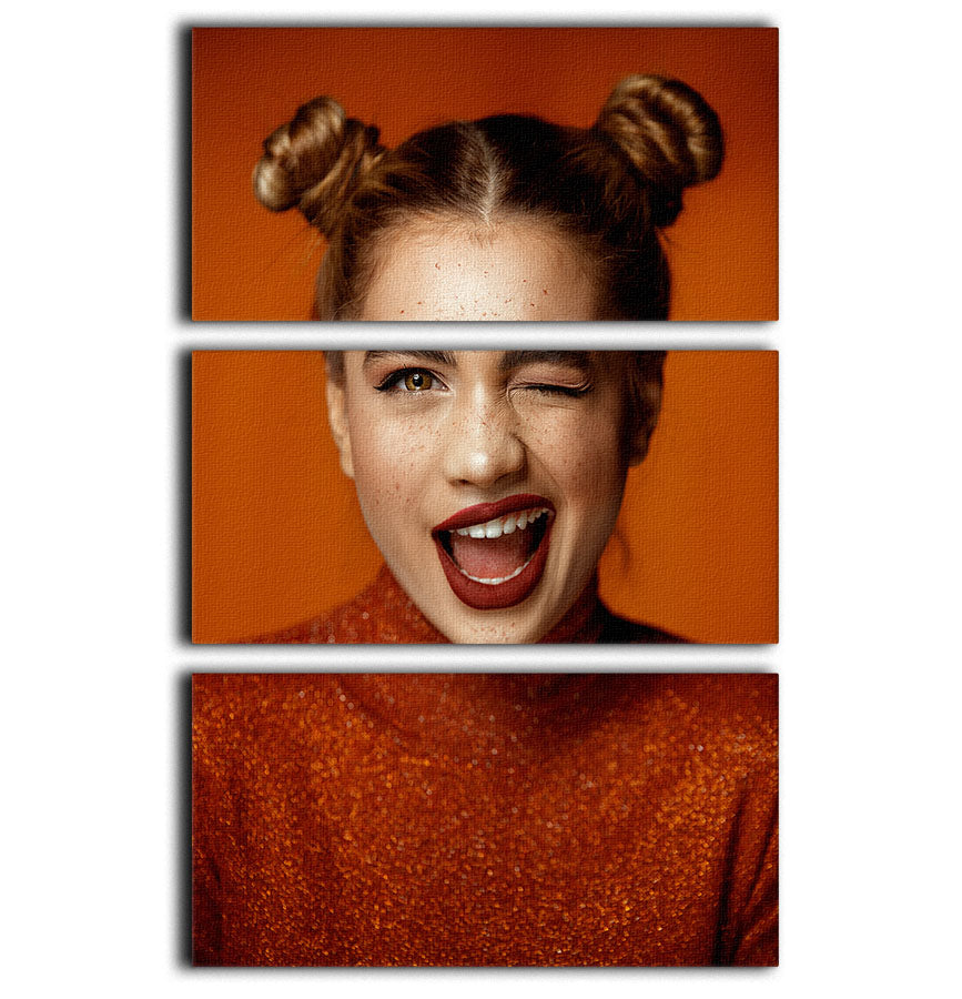 Winky 3 Split Panel Canvas Print - 1x - 1