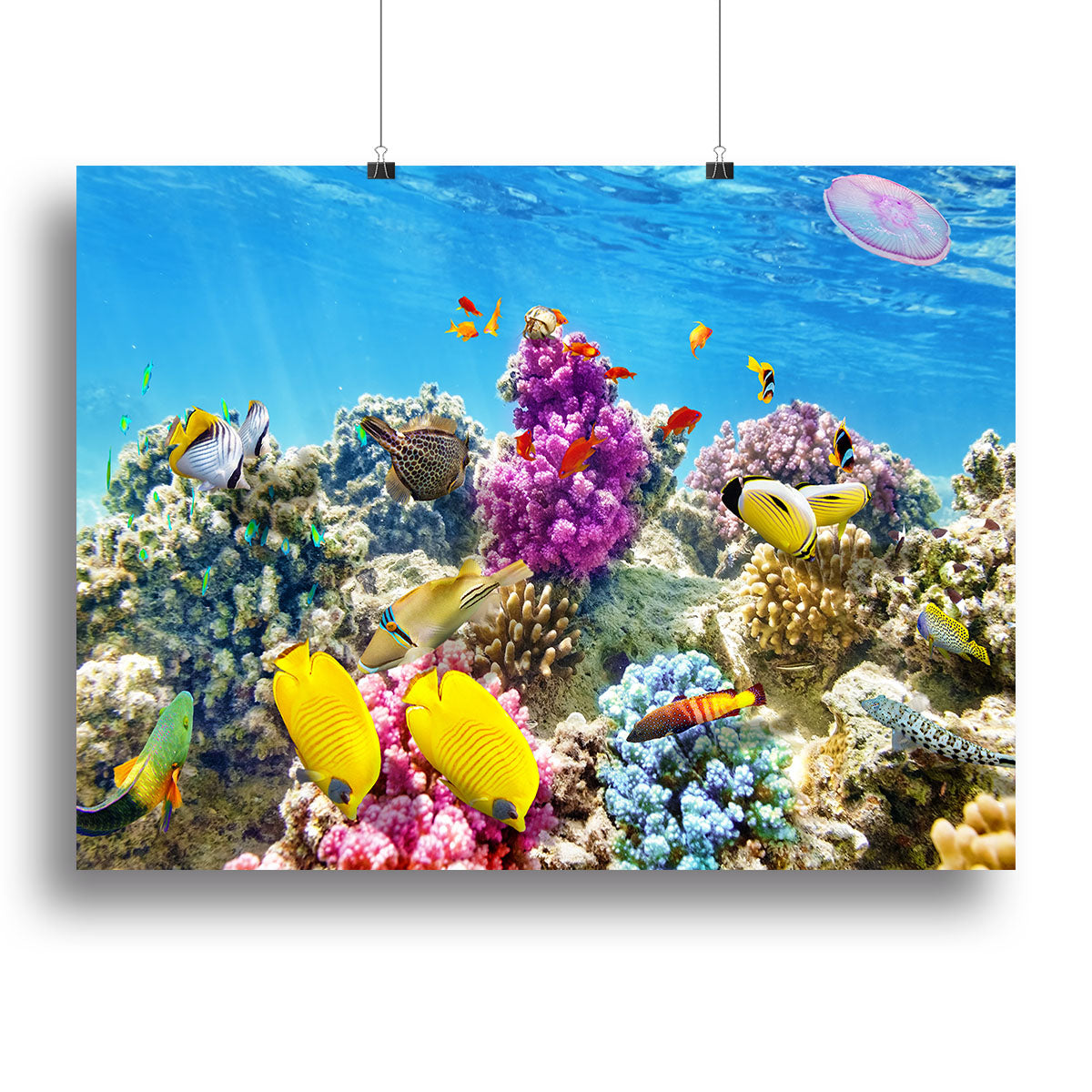 Wonderful and beautiful underwater Poster - Unframed