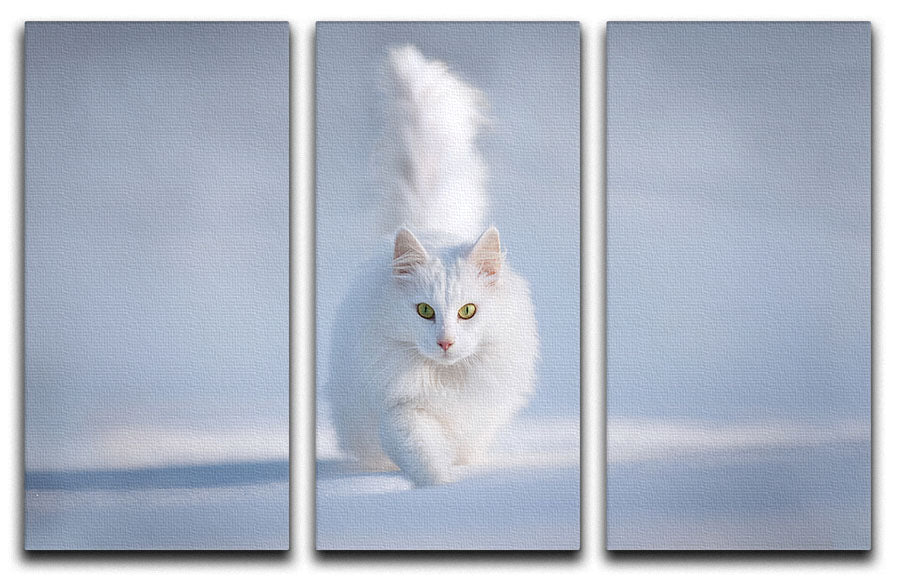 Yellow Eyes 3 Split Panel Canvas Print - 1x - 1