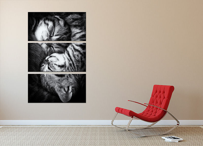 Yin and Yang 3 Split Panel Canvas Print - 1x - 2